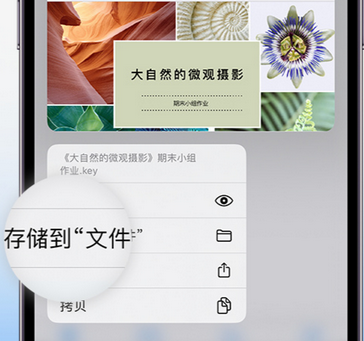 扬州apple维修中心分享iPhone文件应用中存储和找到下载文件