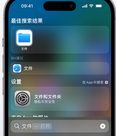 扬州apple维修中心分享iPhone文件应用中存储和找到下载文件