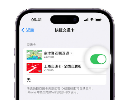 扬州apple维修点分享iPhone上更换Apple Pay快捷交通卡手绘卡面 