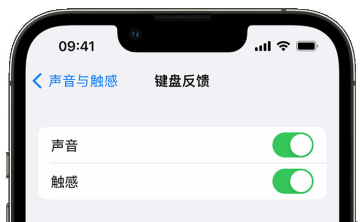 扬州苹果手机维修分享iPhone 14触感键盘使用方法 