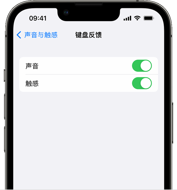 扬州苹果14维修店分享如何在 iPhone 14 机型中使用触感键盘 