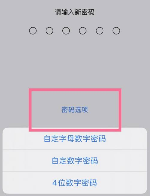 扬州苹果14维修分享iPhone 14plus设置密码的方法 