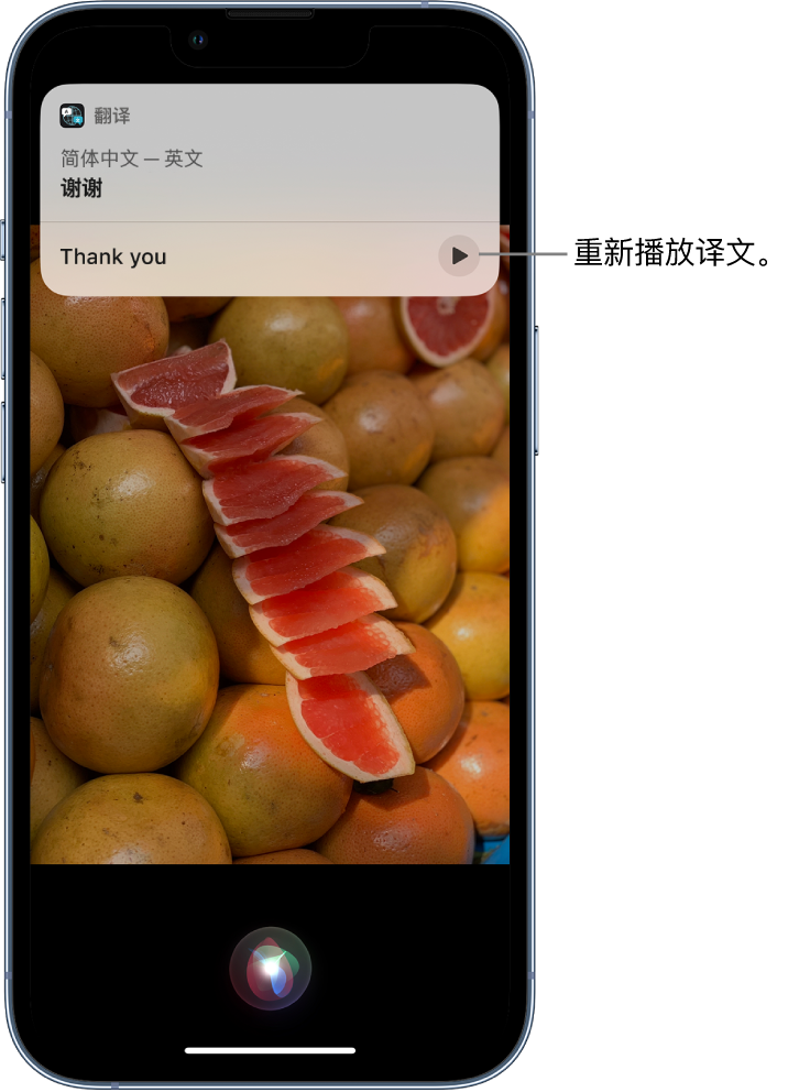 扬州苹果14维修分享 iPhone 14 机型中使用 Siri：了解 Siri 能帮你做什么 