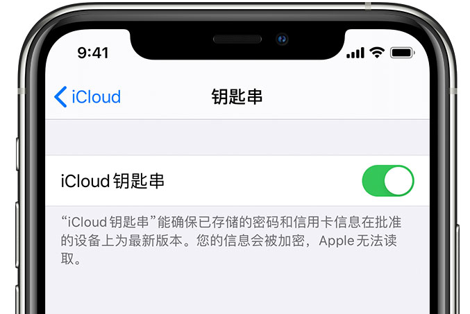 扬州苹果手机维修分享在 iPhone 上开启 iCloud 钥匙串之后会储存哪些信息 